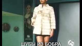 Бобер - Новоторжская ярмарка «За шубой!» видео На Новоторжской ярмарке