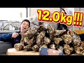 [捕獲シーンあり] ごっつ希少な天然真牡蠣で漁師が昇天する動画