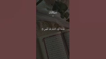 فَدَعَا رَبَّهُ أَنِّي مَغْلُوبٌ فَانْتَصِرْ _ فارس عباد  _سورة القمر