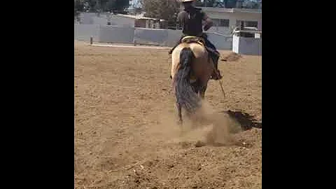 13 de febrero de 2018