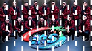 Banda Ms Discografía