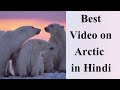 Best video on Arctic | Hindi #natgeo #climatechange
