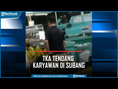 Viral TKA Tendang Karyawan Pabrik PT Taekwang di Subang