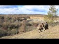 Bushcraft on the Mountain, Pine Log Bench