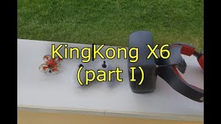 KingKong 6X (Part I)