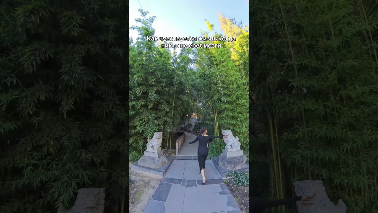 Как чувствуется жизнь когда никто не ebet мозги. 