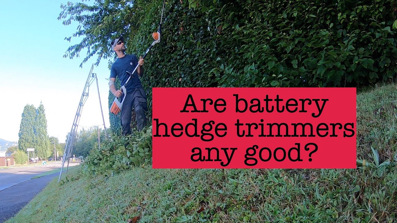 Are battery hedge trimmers any good?!? Stihl HLA 65 YouTube