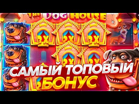 Видео: Словил БОНУСКУ ПО СТАВКЕ 600Р в THE DOG HOUSE! ЗАНОСЫ НЕДЕЛИ ДОГ ХАУС