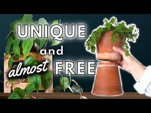 Video: Idei de afișare pentru plante de casă – Sfaturi pentru afișarea plantelor în ghiveci în casă