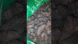 salut on vendre des thiouraye est des a mariste   tel:78 150 44 17 ou 77 781 63 76