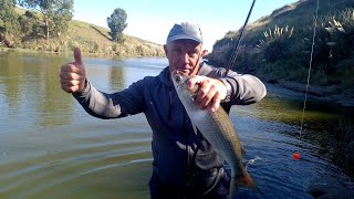 INCREÍBLE PESCA DE LISAS EN EL RÍO QUEQUÉN SALADO