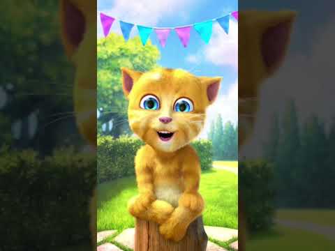 يا شرطه حرامي