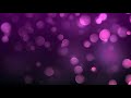 Beautiful purple violet blurred bokeh motion  free animation background
