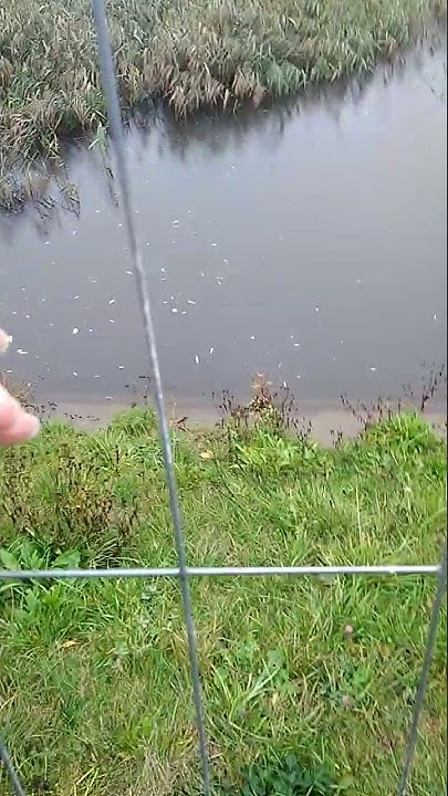 Канал водоем. Озеро ласковое рязань. Где тут пруд. Где тут пруд. Озеро рапатово.