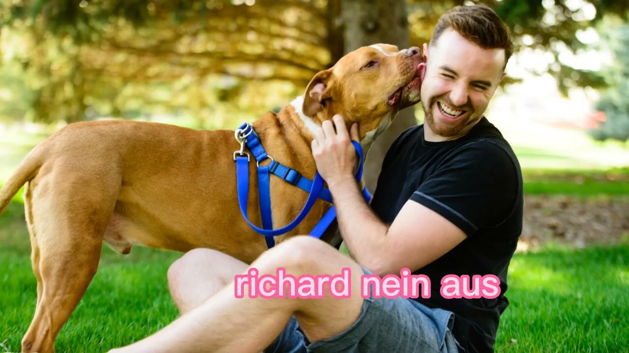 Super Mario 3D World Summary Happylp Part 11