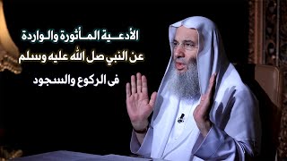 تعلم دعاء النبي فى الركوع والسجود ؟ من فضيلة الشيخ الدكتور محمد حسان