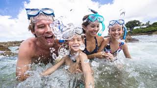 New York, Rio, Rosenheim  Sportfreunde Stiller lyrics video