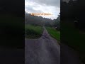 beautiful forest...