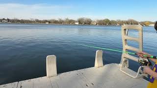 Senko Worm Kit Review | Best Soft Plastic Bass Fishing Lures? (Texas Rig + Wacky Rig)