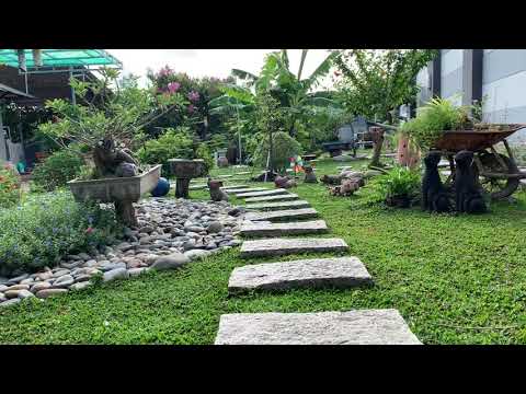Video Sân vườn đẹp - youtube