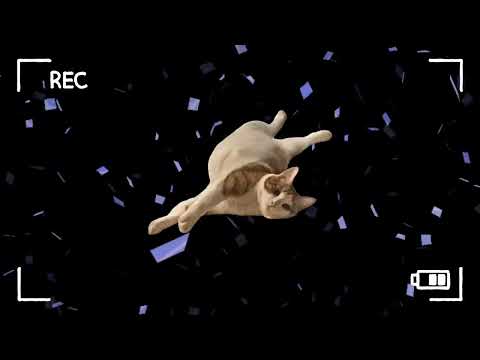 歌ってみた エゴロック（long ver.）/すりぃ feat.鏡音レン cover