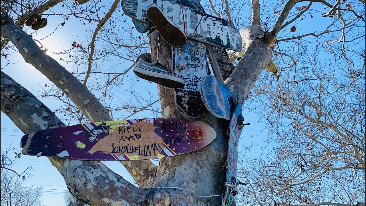 Touring PLATA ARROYO SKATE PARK In San Jose California