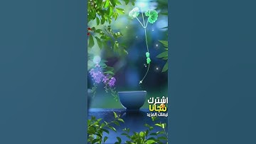 سورة الفجر  - قرآن كريم  بالتجويد -Quraan