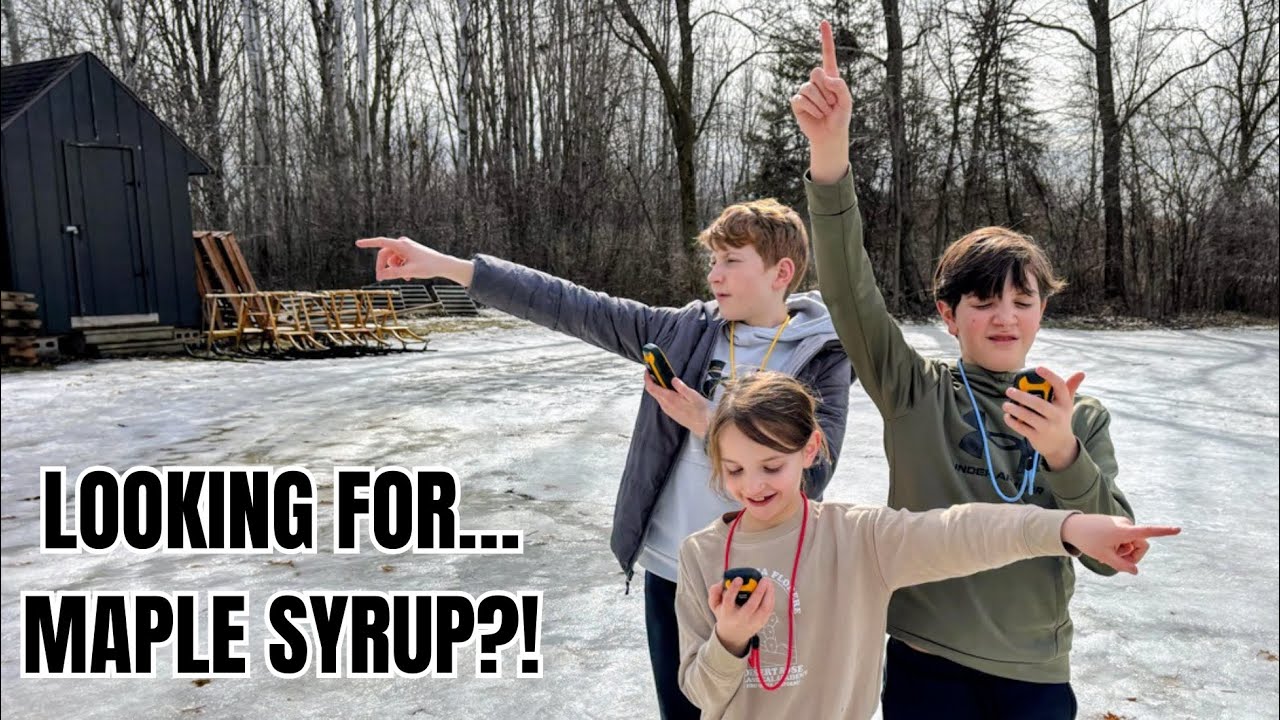 We Went Geocaching and Discovered THIS in the Trees 🍁 - YouTube