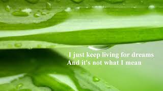 Adrian Gurvitz   Classic   Paroles