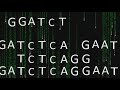 Next-Generation Sequencing (NGS): Full Lecture