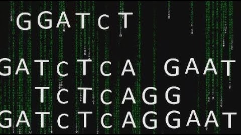 Next-Generation Sequencing (NGS): Full Lecture