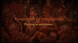 Cannibal Corpse - Blood Blind (Lyrics/Sub Español)