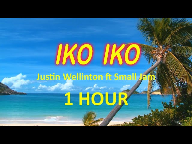 Iko Iko (Lyrics) Justin Wellington 1 HOUR My besty and your besty sit down by the fire Tiktok class=
