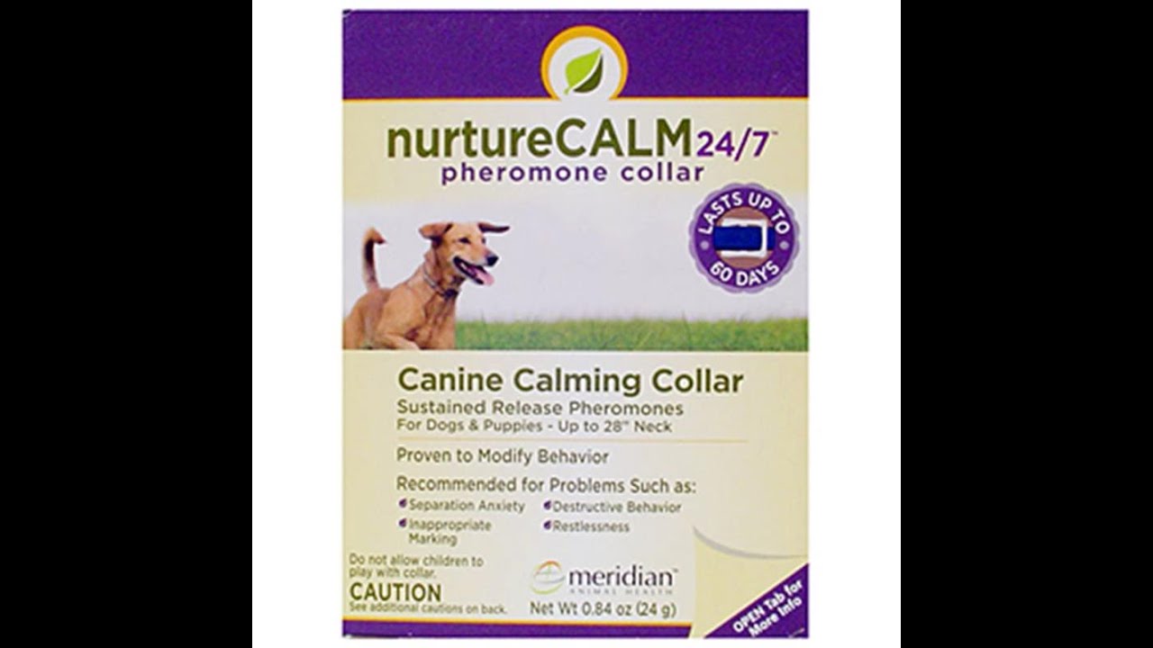 NurtureCalm 247 Canine Collar YouTube