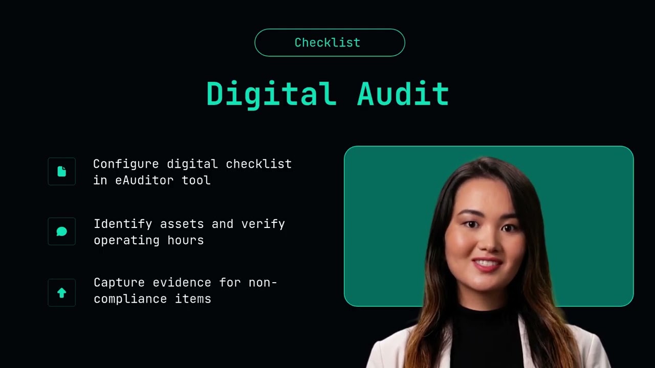 100-часовая проверка с использованием сервиса eAuditor Audits & Checks