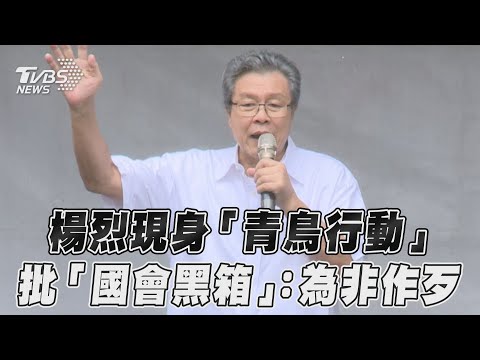 楊烈現身聲援「青鳥行動」批「國會黑箱」:為非作歹｜TVBS新聞@TVBSNEWS01