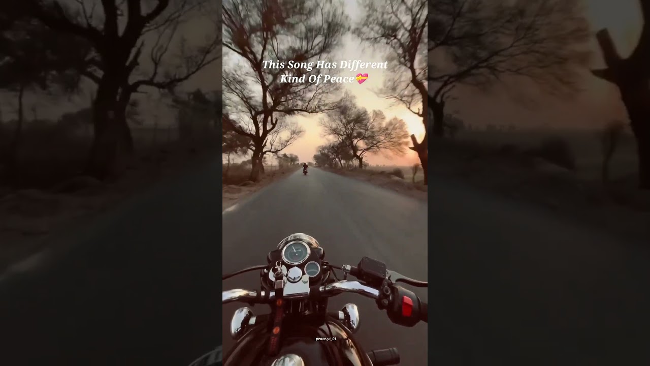 Teri Jhuki Nazar 👀🧿✨ #shortvideo #music #song #trending #love #shortsviral #asthetic #nature