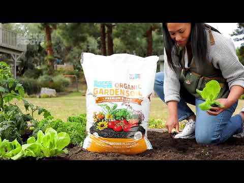 Explore Back to the Roots Organic, Speciality Garden Soil —  great for plants & planet!