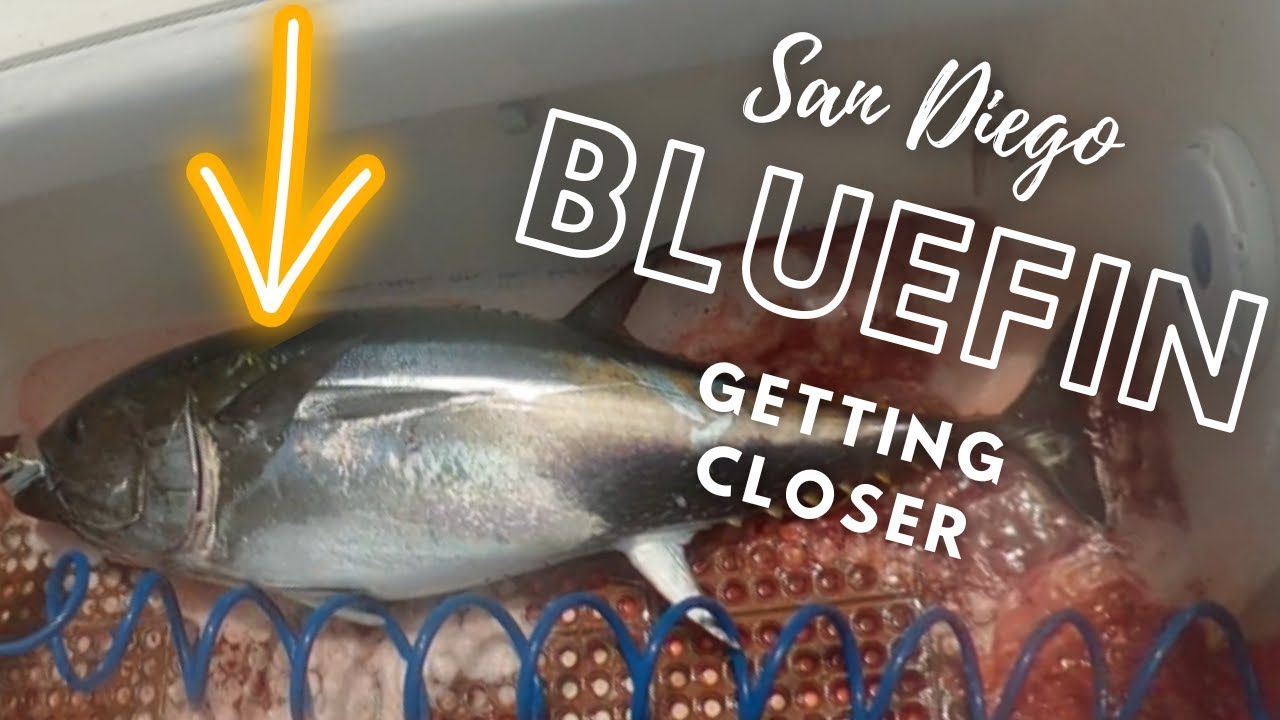 Bluefin Tuna Fishing Offshore | Monster Tuna Caught with Submission Fishing Slow Pitch Jigs