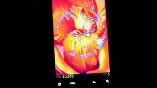 Splodey! by Pointer Games screenshot 3