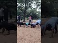 MS POLICE PHYSICAL TRAINING ACADEMY AT DILSUKNAGER..🏃🏃