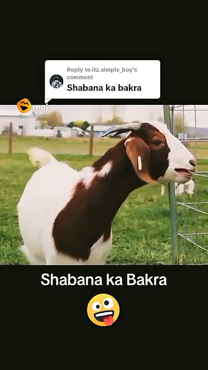 Shabana main Hun Tera Deewana