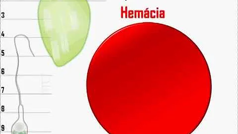 Como calcular nanômetros?
