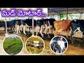 #dairyfarm mud motor -డైరీ లో అతి ముఖ్యమైంది!price!#daily #viralvideo