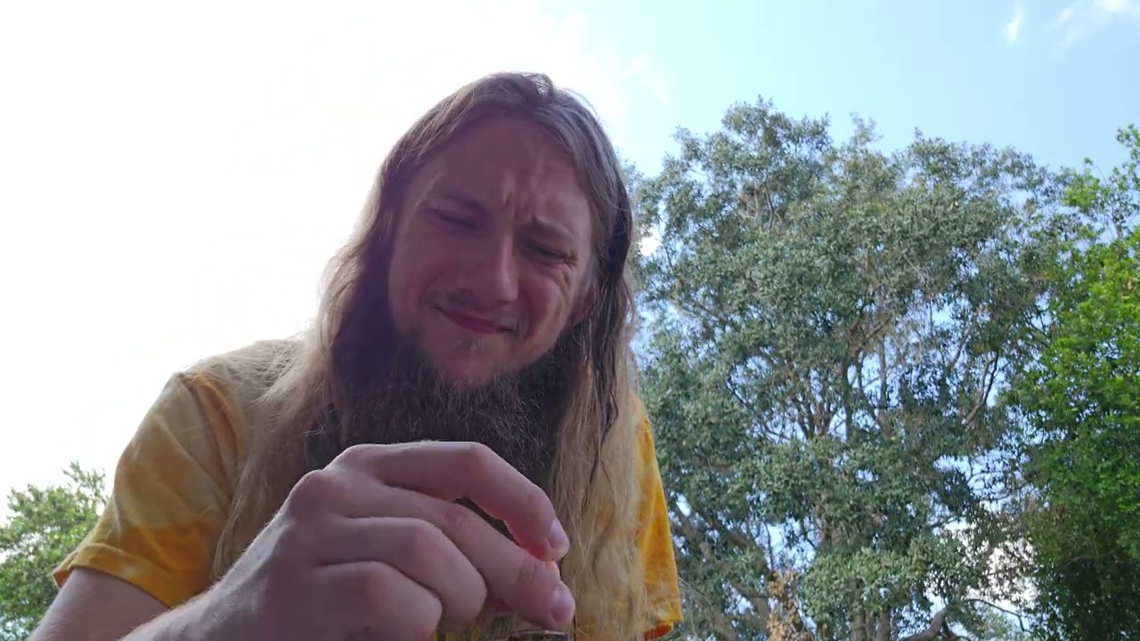 (Phosphuric:/ ) Pink Cookies Live Sauce By Modern Flower (Trulieve FL) - The First Impressions #44