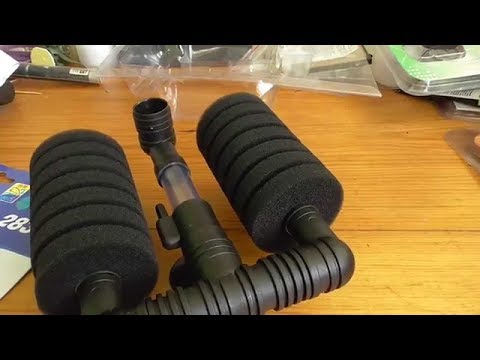 Airlift Filter: A Guide for Fish Breeders
