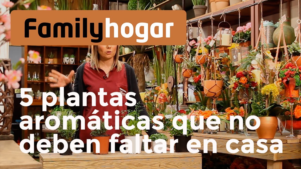 5 Plantas Aromaticas Que No Deben Faltar En Casa Youtube