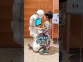 ペッパーくんの様子がおかしい！｜とっさに英語が出てくるバイリンガル息子