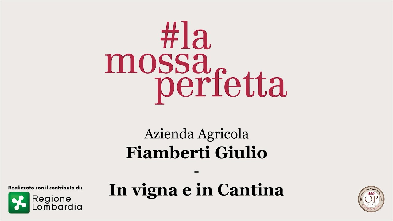 In Cantina e in Vigna produttore Fiamberti