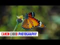 Canon 1300D Photography | sample images | @itsmrc20